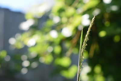 DSC_9552.JPG