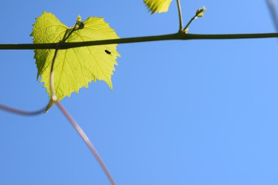 DSC_9719.JPG