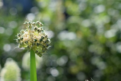 DSC_9784.JPG