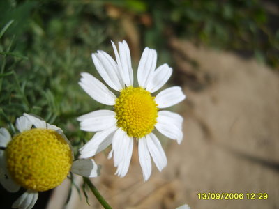 13.09.2006 - 12;29;17.JPG