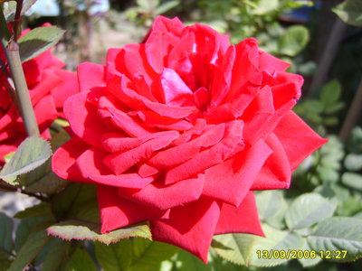 13.09.2006 - 12;27;35.JPG