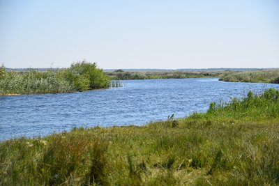 DSC_9686.JPG
