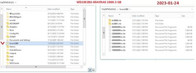 WD20EZBX-00AYRA0 2TB_Errors_2023-01-24.jpg