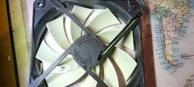 20240527_191106.jpg