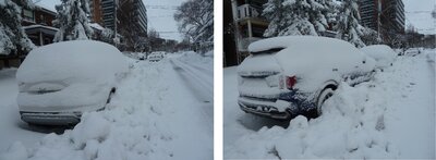 March 4, 2023 snow.jpg