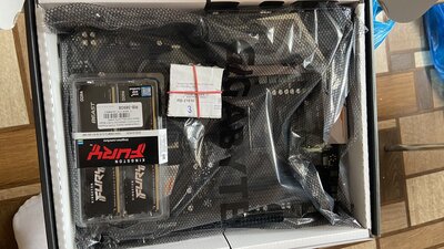 IMG_3270.jpeg