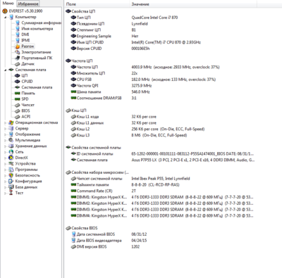 EVEREST Память.PNG