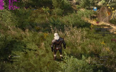 witcher3_2015_07_06_19_19_25_884.jpg
