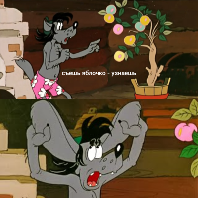 mem1.png