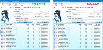 WD20EZBX Blue 2TB_CrystalDisk Info_2023-08-08.jpg