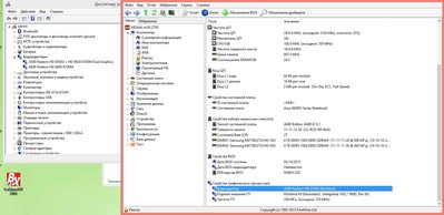 АИДА о видеокарте.jpg