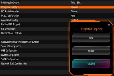 integrated graphics.jpg