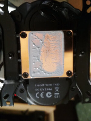 продольный горб проца.jpg