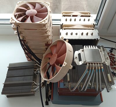 noctua.jpg