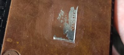 IMG_20241109_210725.jpg