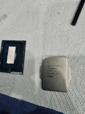 WhatsApp Image 2024-11-17 at 19.08.32.jpeg