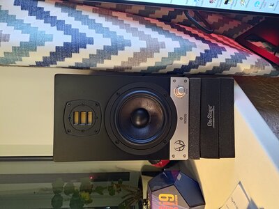 P_20241122_062640.jpg