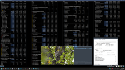 Screenshot (7).png