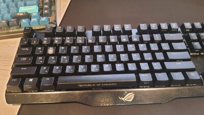 20241210_215820.jpg