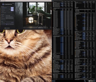 Screenshot 2025-01-19 125511.jpg