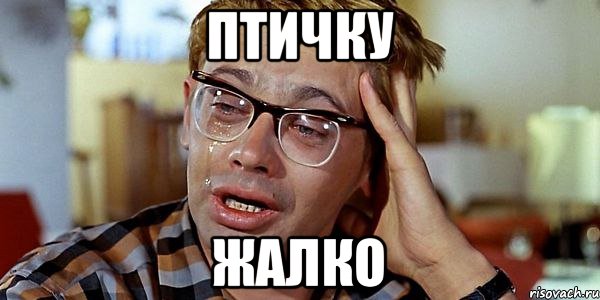 zhalko.jpeg