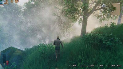 valheim_2025_02_08_19_18_42_555.jpg