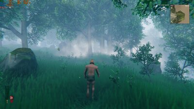 valheim_2025_02_08_19_19_11_658.jpg