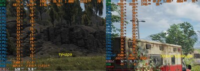 охмля.jpg