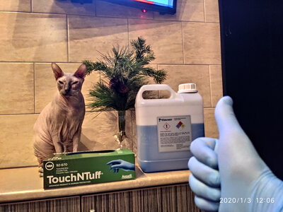 Моника___ - копия.jpg