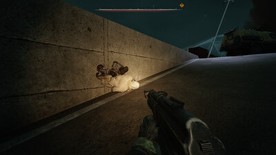 S.T.A.L.K.E.R. 2_Screen_FastStonee_000670.jpg