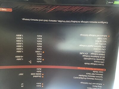 IMG_7218.jpeg