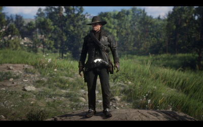 rdr2a052.jpg