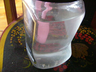 P1000141.JPG