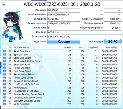 4602.jpg