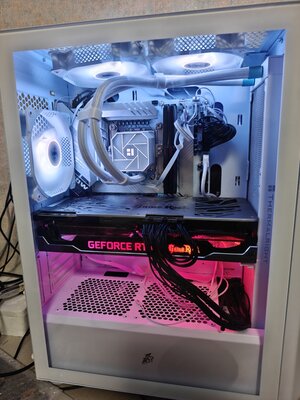 1000157476.jpg