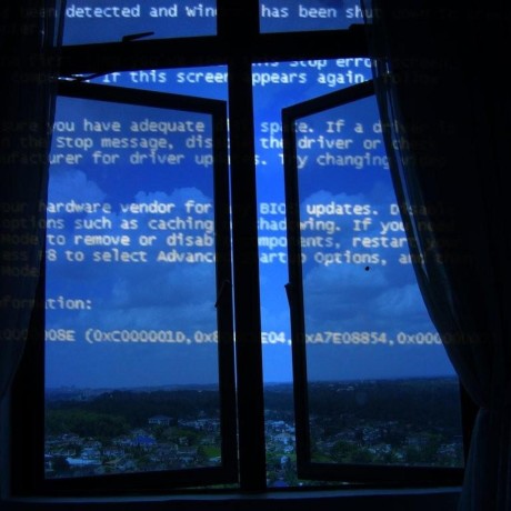 6503509.jpg