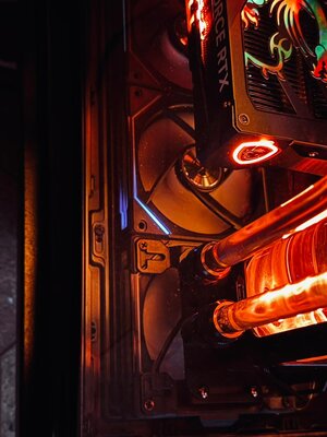 Изображение WhatsApp 2025-11-04 в 10.20.07_3f3147af.jpg