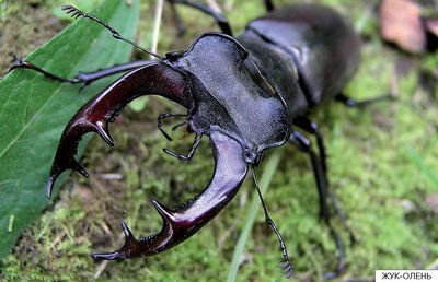 1026848-Autogen_eBook_id11 (1).jpg