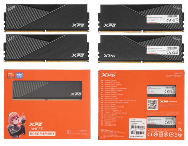 11 — копия.png