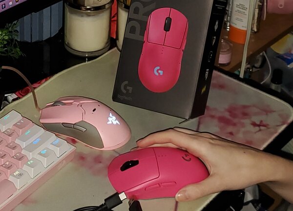 The paint on the Razer mouse has peeled off_20260212.jpg
