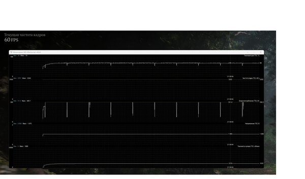Без имени.jpg