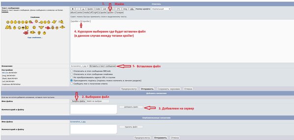 Вставка под спойлер.jpg