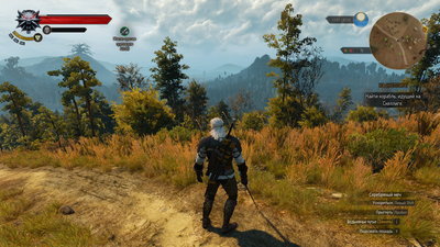 witcher3_2015_10_05_14_58_54_394.jpg