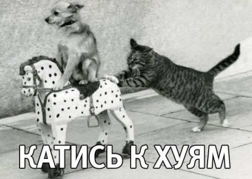 bcb4da7fd2ff3211ba8325aaba98b7c3.jpg
