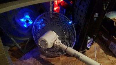 2015101001_4897653_19084927 %281%29.jpg