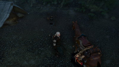 witcher3_2015_10_22_22_12_04_001.jpg