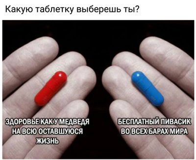 6526749.jpg
