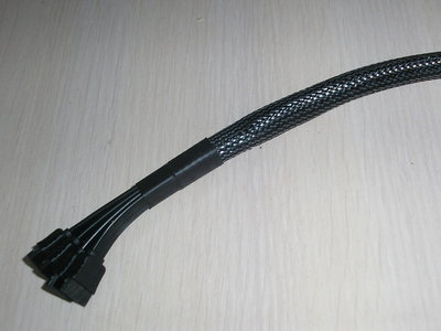 P1010430+.JPG