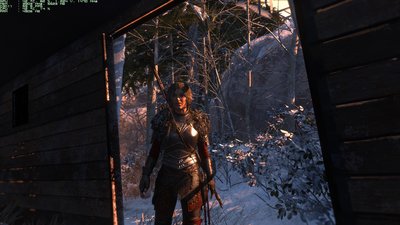 ROTTR_2016_01_31_14_59_12_382.jpg