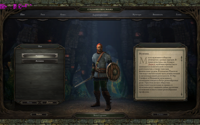 PillarsOfEternity_2016_02_13_12_58_03_518.png